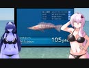 南の島で魚釣り【ファミリーフィッシング】またきたよー