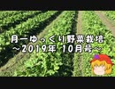 月一ゆっくり野菜栽培 2019年10月