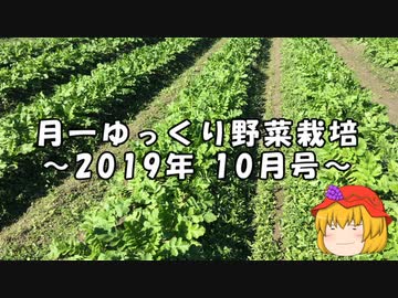 月一ゆっくり野菜栽培 2019年10月