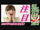 予告16台風被害と対策はテレビ報道でこれだけ変わる。菜々子の独り言　2019年10月21日(月）