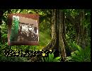 リアノンのミュージックライブラリー「オルタナティブカンカントリー編」