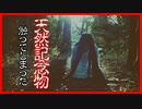 【ダメ絶対！】セマルハコガメ(天然記念物)を触ってしまった件【気を付けよう】