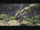 MHW：Ｉ モンスターハンターワールドアイスボーンpart32「査団クエスト「惰眠と火酒の日々・パオルーム亜種＆リオレイア亜種」(後半)