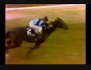 1979年 第104回プリークネスステークス（Preakness Stakes）スペクタキュラービッド(Spectacular Bid)