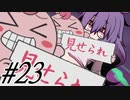 【SEQUELblight 実況プレイpart23】サーッ！(迫真)