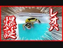 【歓喜】ヒョウモントカゲモドキ(レオパ)の赤ちゃんが誕生しました【第一号】
