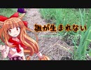 【ゆっくり】終わった人生の私がワンチャンをかけて百姓する　19日目