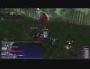 【FF11】中身二人でZerdeに挑戦【精霊】