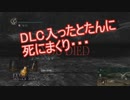 地獄の初見縛り【ダークソウルリマスター】part40
