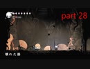 【初見実況】 Hollow Knight  part28【飲酒注意】