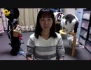【猫の多頭飼い】チーママTAKESHIとおまつりふじ子のおやすみライブ 2019.10.21