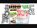 【ハムスター!_】レオポット レオパ（ヒョウモントカゲ）飼育ケージが斬新過ぎた！！【革命】