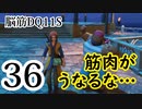 【実況】過ぎ去りし脳筋を求めて【DQ11S】　part36