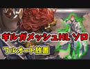 ギルガメッシュHLソロ フルオート放置 ドクター