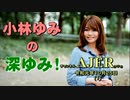 「議会での質問について(前半)」小林ゆみ  AJER2019.10.25(1)