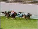 1980年 第29回サン・ルイ・レイ・ステークス（San Luis Rey Stakes）ジョンヘンリー(John Henry)