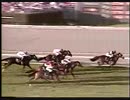 1980年 サン・ファン・カピストラーノ招待H（San Juan Capistrano Invitational Handicap）ジョンヘンリー(John Henry)