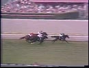 1980年 第12回オークツリー招待ステークス (Oak Tree Stakes) ジョンヘンリー(John Henry)