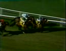 1981年 第13回ハリウッドパーク招待ターフH (Hollywood Park Invitational Turf Handicap) ジョンヘンリー(John Henry)