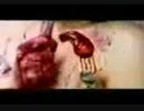 Eating eyes.3gp