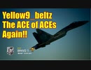 Ace Combat 7 Extra43 バトルロイヤル ベルツ氏とのタイマン総集編