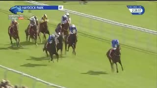 2017年 スプリントカップ (Sprint Cup)ハリーエンジェル(Harry Angel)