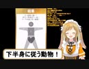 【ユニコーン推奨】自称モテモテうさぎの心理テスト【因幡はねる】