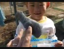 のまさんち「サビとり　ボンスター編」