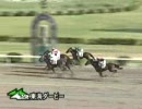 【競馬】 東海ダービー 2008