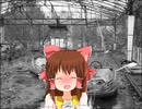 見捨てられた神社.ruins