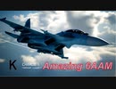 Ace Combat 7 Multiplayer405  バトルロイヤル  Su-30SM + 6AAM