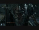 【Bloodborne実況】ヤーナムの血の夜を絶叫ハンターが「い」く part6