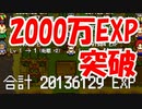 超重要なキーポイントに気付いたおかげで、２０００万EXPを超えました【レベル上げにちょうどいい島】＃１９