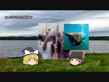 【ゆっくりオカルト解説】ネッシー編おまけ