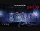 【初見実況】 Hollow Knight  part30【飲酒注意】