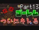 【Terraria】テラリア布教活動EX【part13】