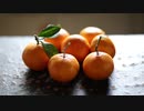 Pexels Videos 1618821　えひめ共同産業合同会社