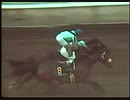 1982年 第45回サンタアニタハンデキャップ (Santa Anita Handicap) ジョンヘンリー(John Henry)