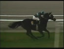 1982年 第14回オークツリー招待ステークス (Oak Tree Stakes) ジョンヘンリー(John Henry)
