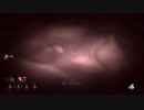 【1パークあれば充分ps4 最強キラー】ps4赤ランクキラーの日常 　スピリット【Dead by Daylight】part.30【毎日投稿】