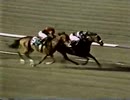 1984年 第7回ターフクラシックステークス（Turf Classic Stakes）ジョンヘンリー(John Henry)