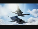 【PS4】馬鹿な新米パイロットⅡ【エースコンバット7】 DLC:MISSION 01~後半~