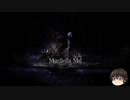 【Salt and Sanctuary】物理アンド重装備-30【ゆっくり】