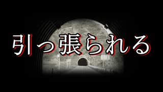 【洒落怖 怖い話 朗読】『引っ張られる』｜短編・長編・実話・2chまとめ