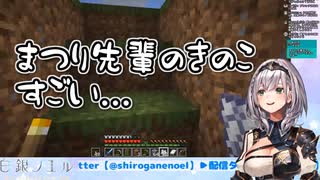 【ホロ鯖】まつり先輩のキノコを大きくするだけの白銀ノエル