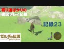 【寄り道ばかりの】ゼルダの伝説BotW【実況プレイ記録23】力の試練と再遭遇