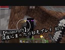 【Minecraft】深夜にまったり初見プレイ#14
