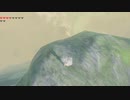 ウオトリー村の難しいコログを色々な方法でクリアしてみた
