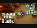 求むー「ゼル伝」のプロー【ゼルダの伝説　夢をみる島】 part5