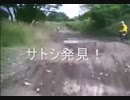 のまさんち「オフロード　サトシとお兄ちゃんコース.wmv」